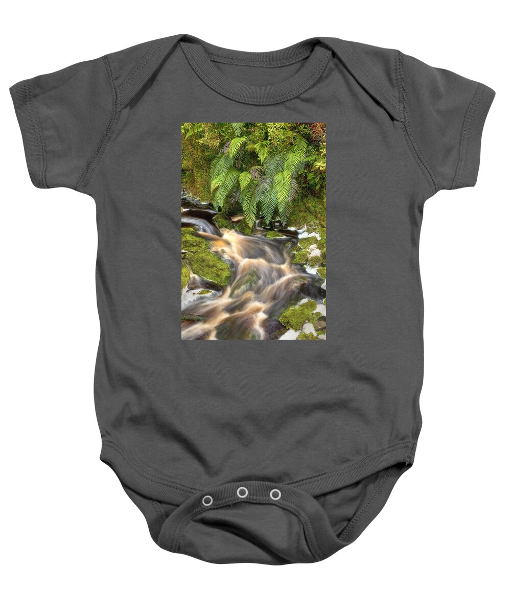 00441953 Baby Onesie featuring the photograph Stream And Ferns Oparara Basin Arches by Colin Monteath
