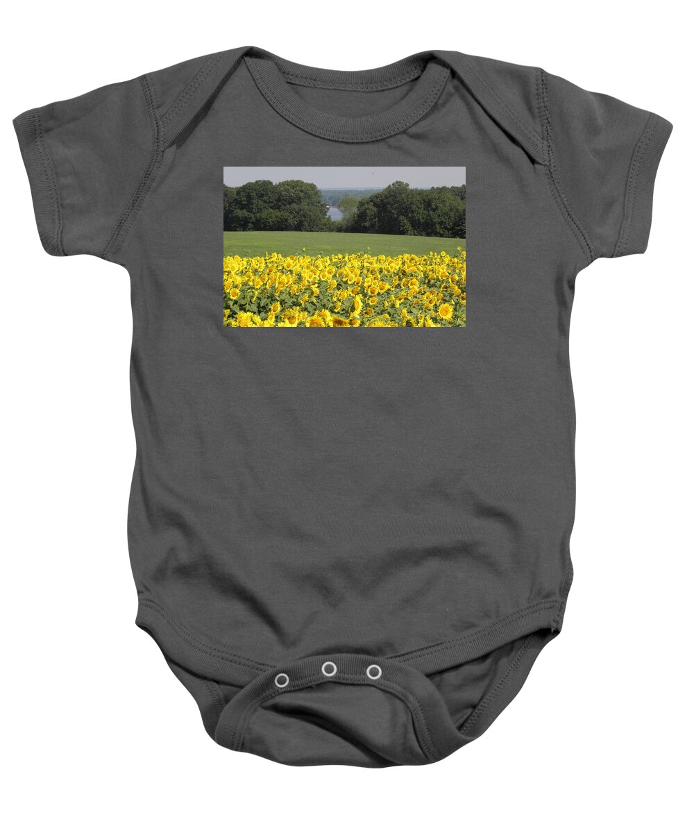 Sunflowers Baby Onesie featuring the photograph Sunflower Scenery by Kim Galluzzo