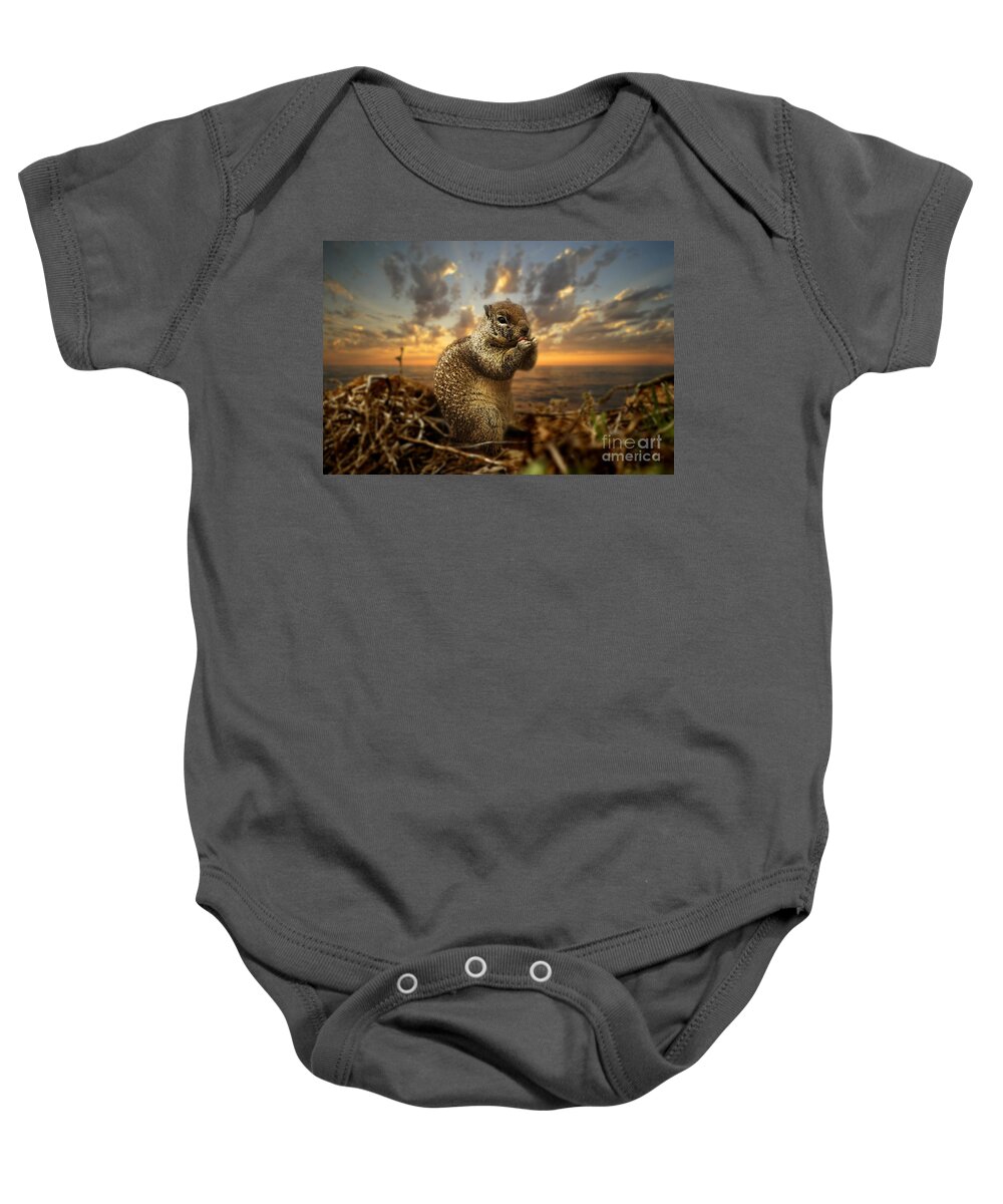 Sunset Baby Onesie featuring the photograph Sunset Squirrel by Daniel Knighton