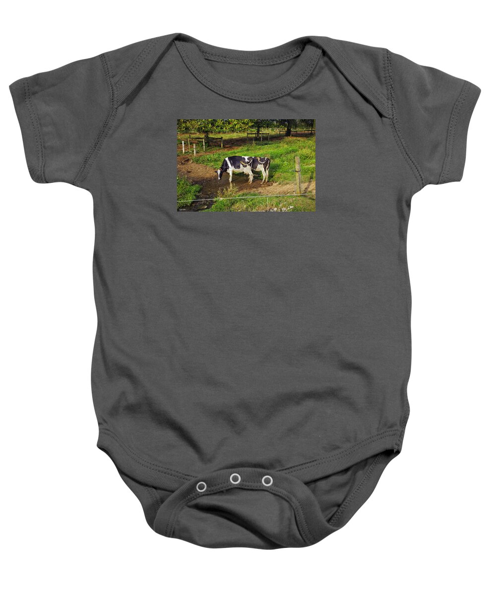 Cow Baby Onesie featuring the photograph Tail Of Two Cows by Madeline Ellis