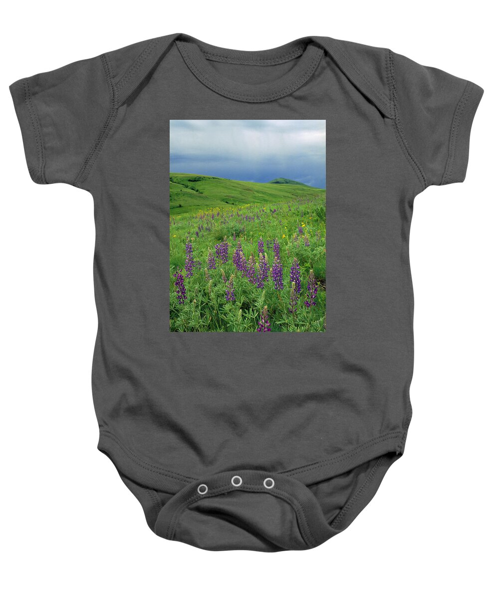 00640130 Baby Onesie featuring the photograph Tallcup Lupine on the Zumwalt Prairie by Michael Durham