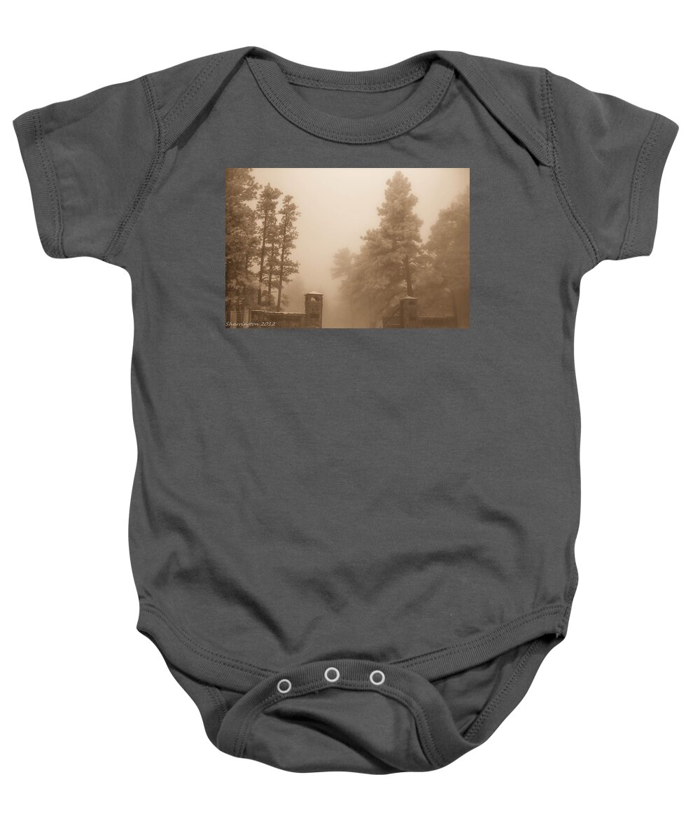 Building Baby Onesie featuring the photograph The Fog by Shannon Harrington