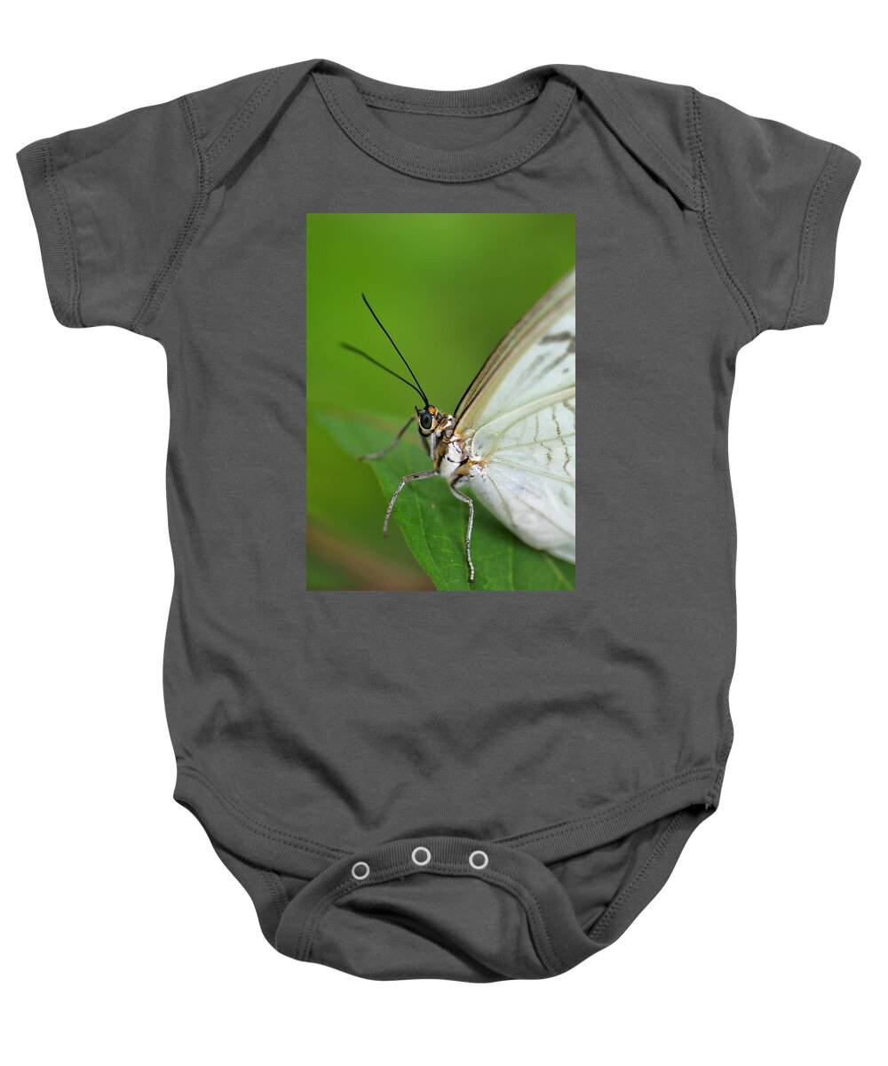  Iridescent Baby Onesie featuring the photograph The iridescent eyes of a White Morpho Butterfly by Bill Dodsworth