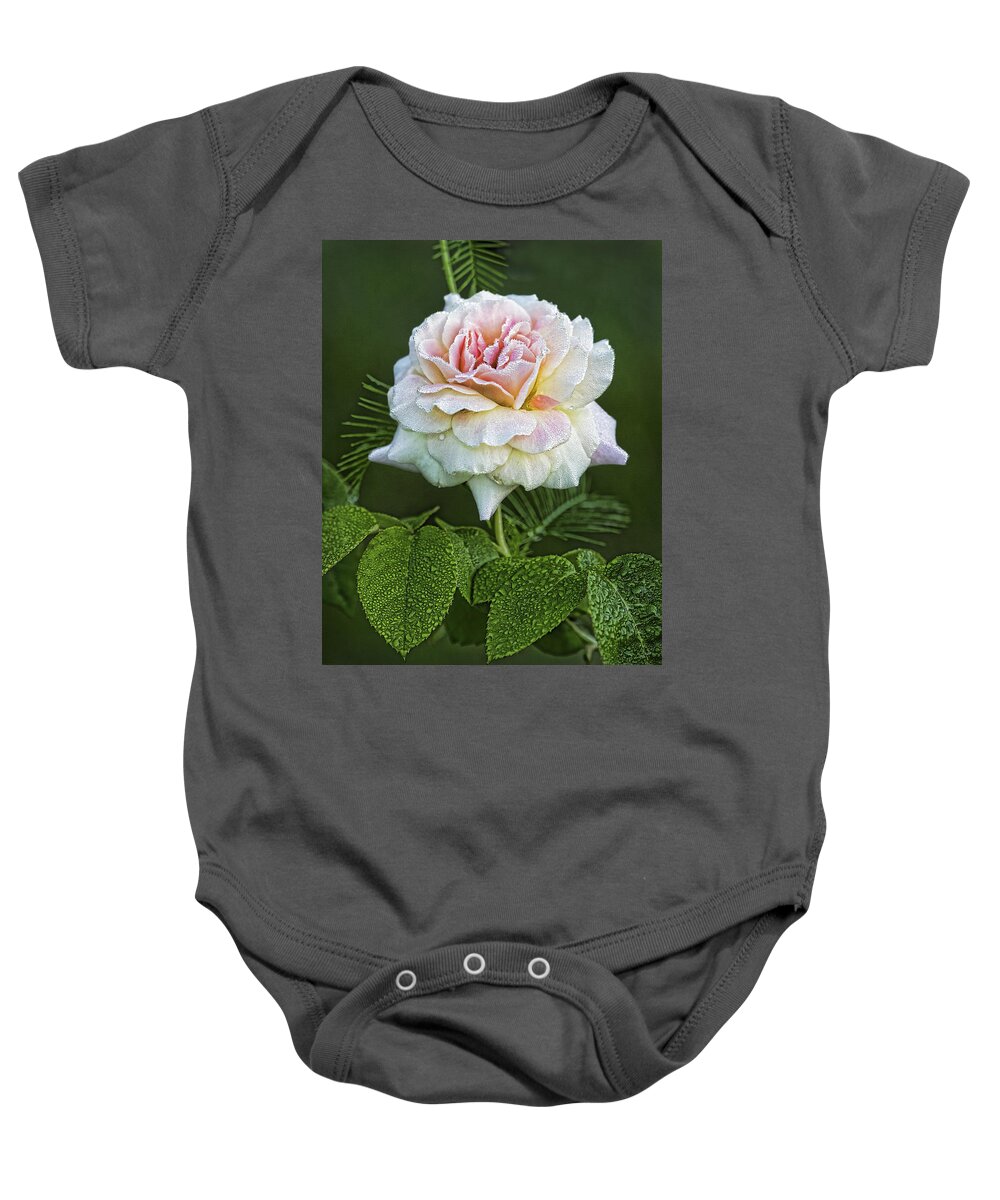 Rose Baby Onesie featuring the photograph The Splendor of the Rose by Kathy Clark