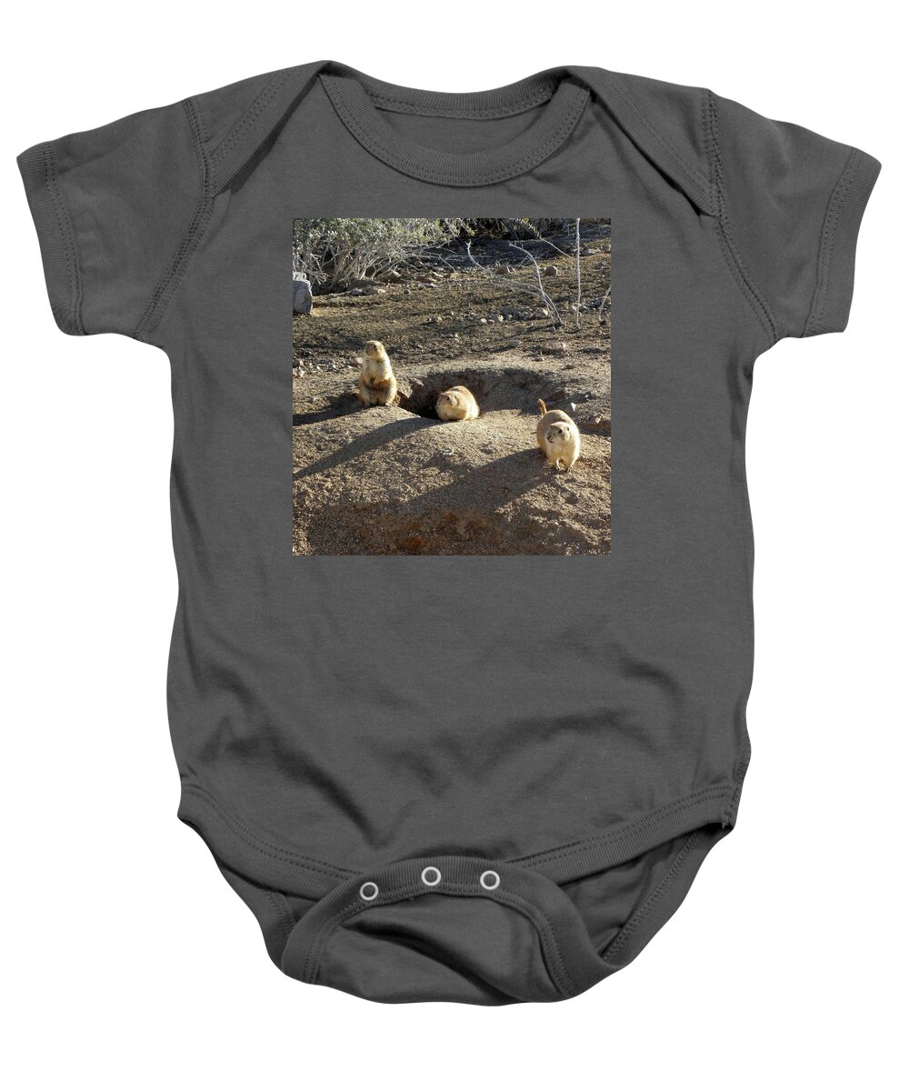 Prarie Baby Onesie featuring the photograph The Three Stooges by Kim Galluzzo Wozniak