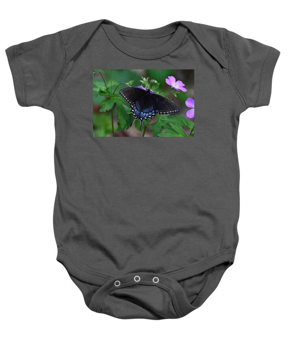 Butterfly Baby Onesie featuring the photograph Tiger Swallowtail Female Dark Form On Wild Geranium by Daniel Reed