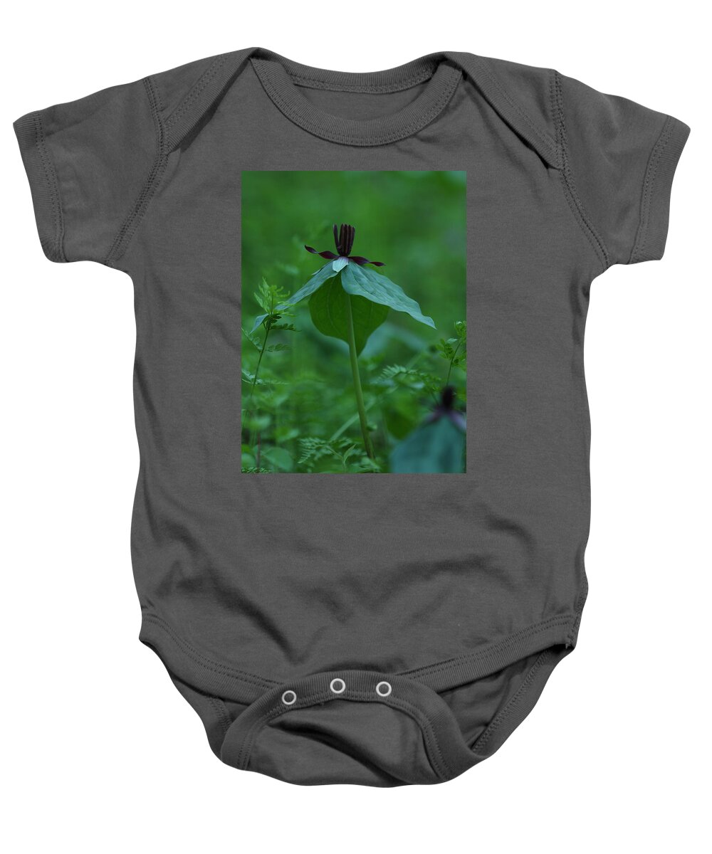Trillium Stamineum Baby Onesie featuring the photograph Twisted Trillium by Daniel Reed