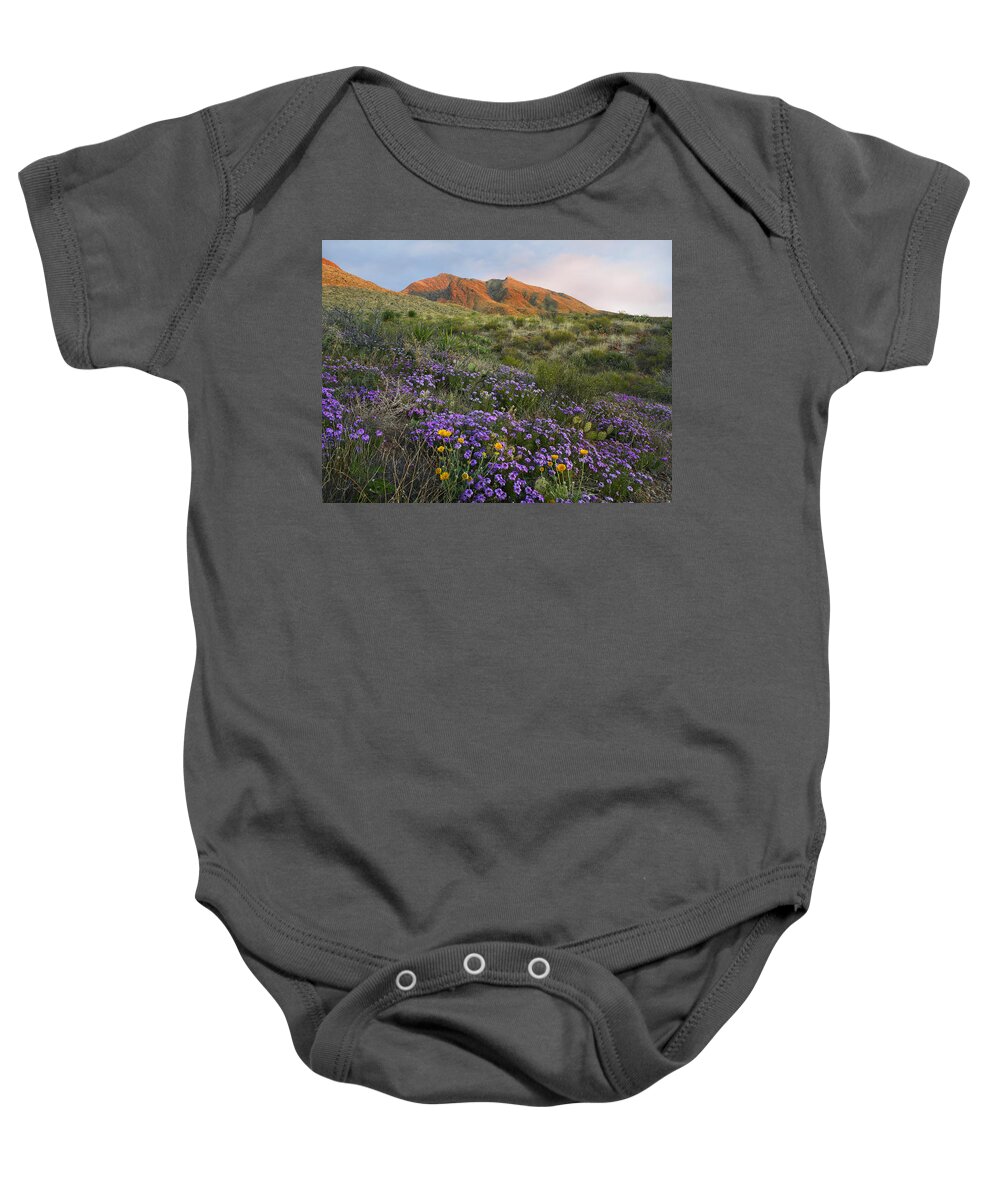 00176466 Baby Onesie featuring the photograph Vervain At Franklin Mountains State by Tim Fitzharris