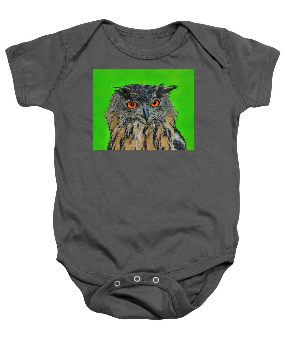 Eurasian Eagle-owl Baby Onesie featuring the photograph Wet by Tony Beck