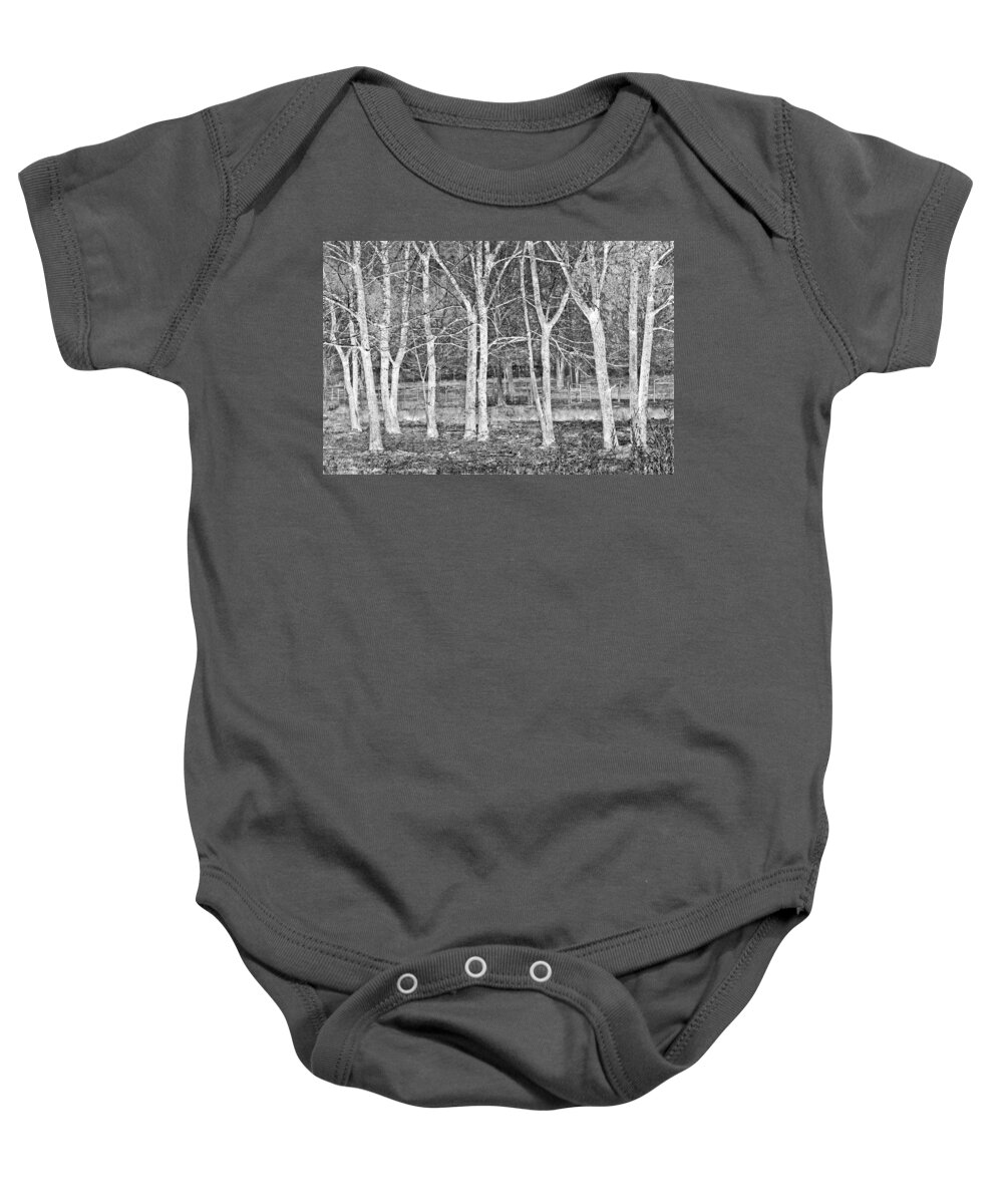 Apalachia Baby Onesie featuring the photograph White Grove by Debra and Dave Vanderlaan