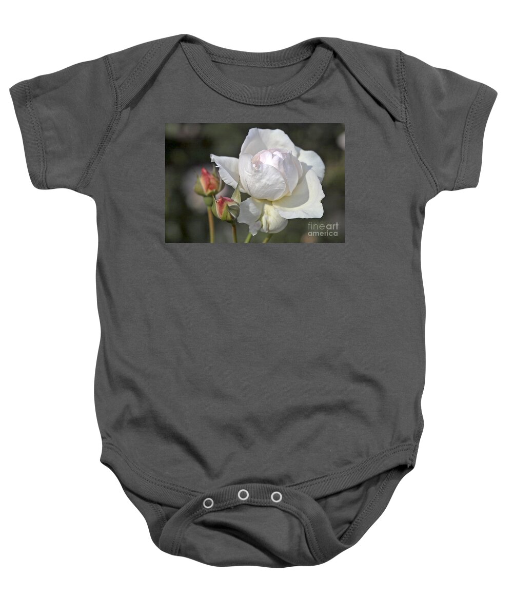 Rose Baby Onesie featuring the photograph White Rose by Heiko Koehrer-Wagner