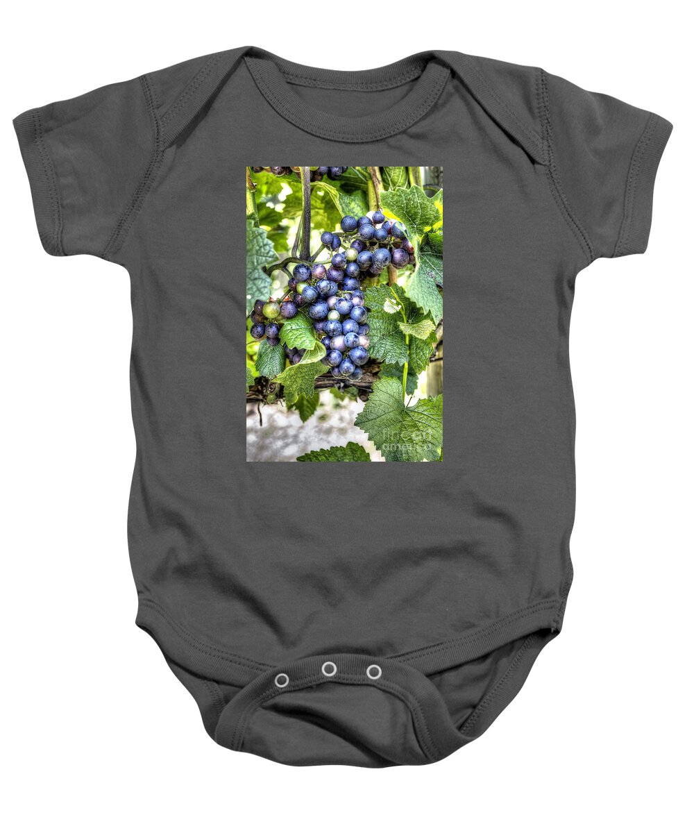 Grape Baby Onesie featuring the photograph 0984 Vineyard by Steve Sturgill