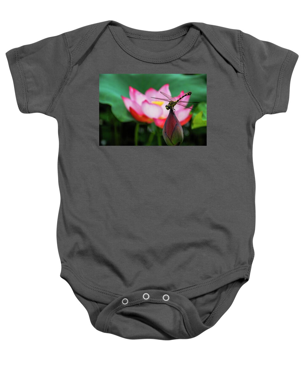Flower Baby Onesie featuring the photograph A dragonfly on lotus flower #1 by Carl Ning