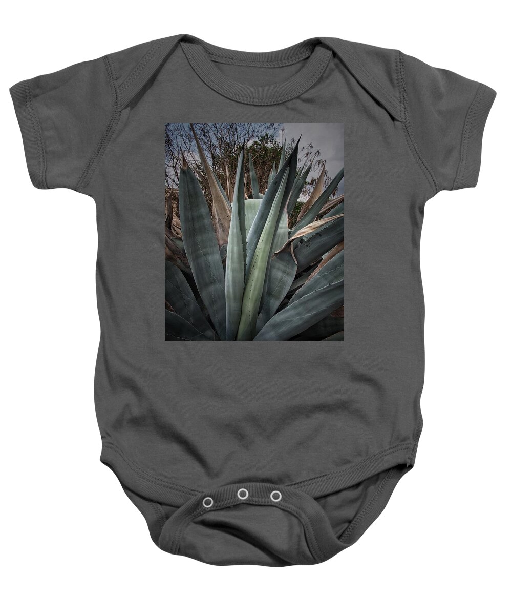 Agaves Baby Onesie featuring the photograph Agaves Plant #1 by Buck Buchanan