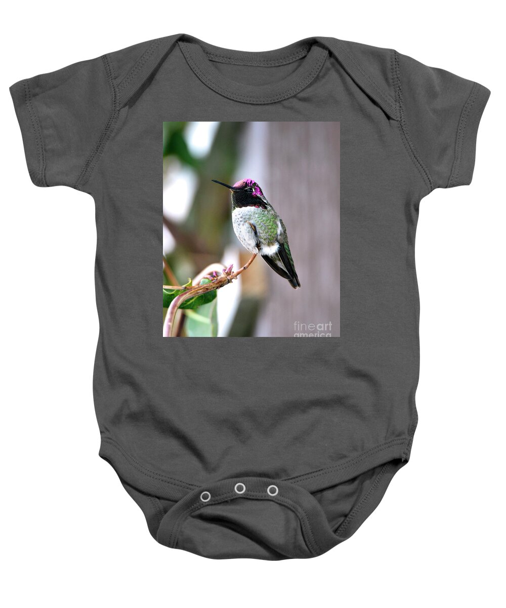 Denise Bruchman Baby Onesie featuring the photograph Anna's Hummingbird #2 by Denise Bruchman