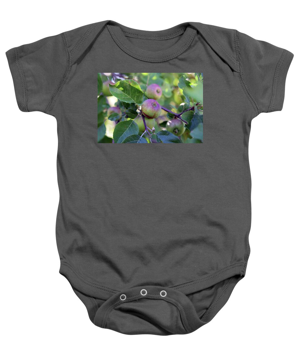 Apples Baby Onesie featuring the photograph Apples #2 by Linda L Brobeck