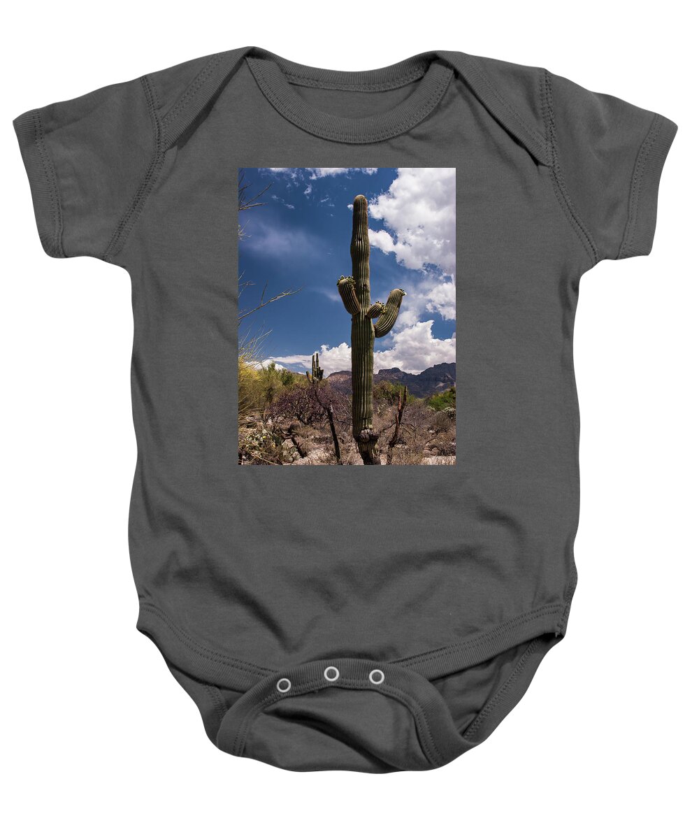 Arizona Baby Onesie featuring the photograph Arizona Cactus #2 by David Palmer