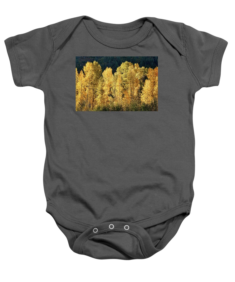 Aspens Baby Onesie featuring the photograph Aspens in Autumn III #1 by Leda Robertson