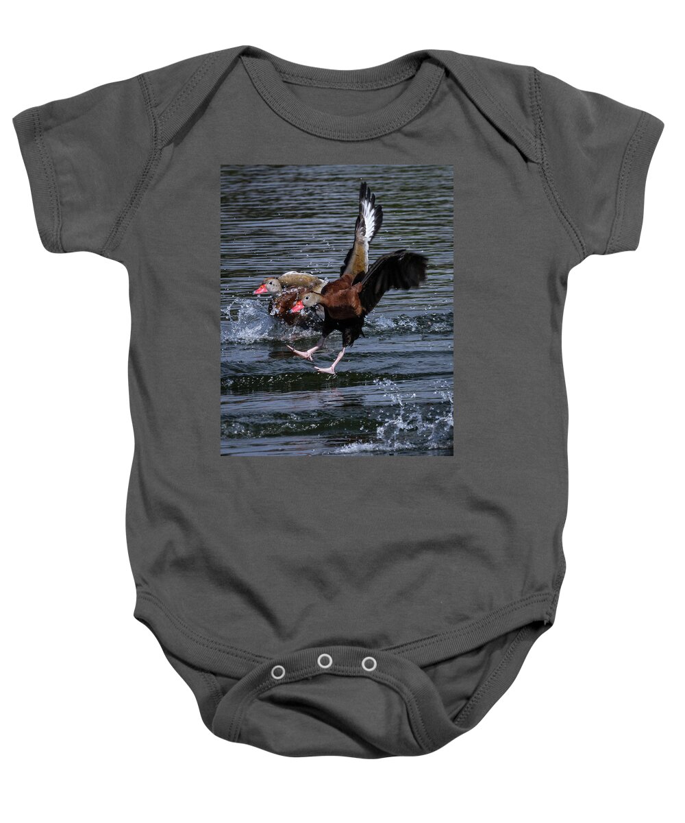 Arizona Baby Onesie featuring the photograph Black-bellied whistling duck #1 by Ronald Lutz