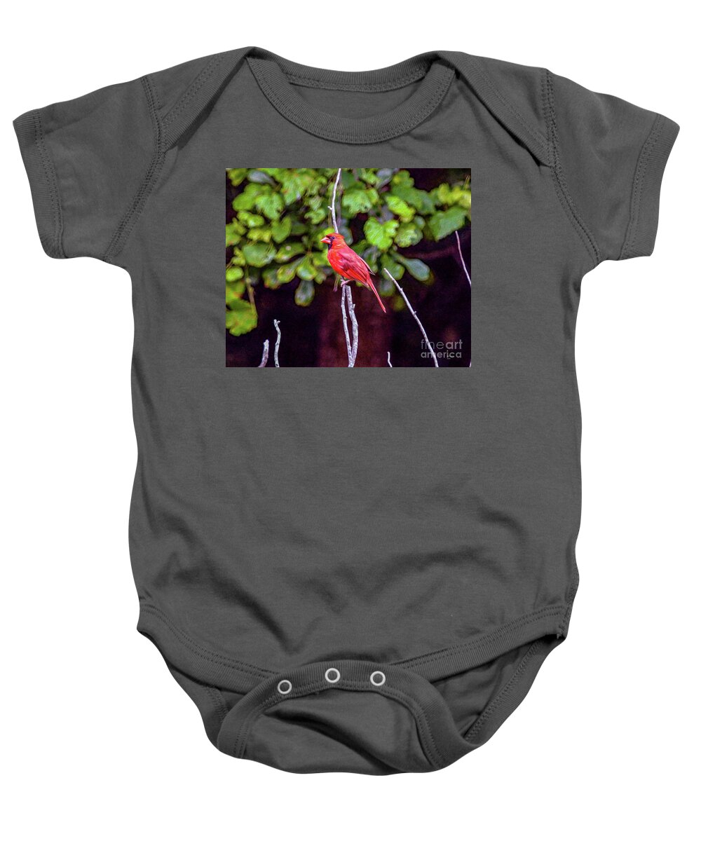 Nature Baby Onesie featuring the painting Cardinal Twigging a Break by DB Hayes