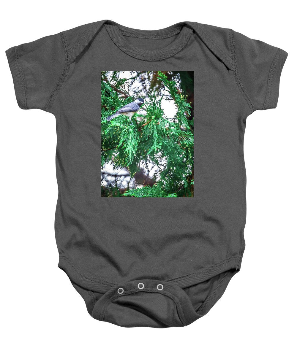 Lovely Baby Onesie featuring the photograph Chickadee Perched On An Evergreen Tree #1 by Alex Grichenko