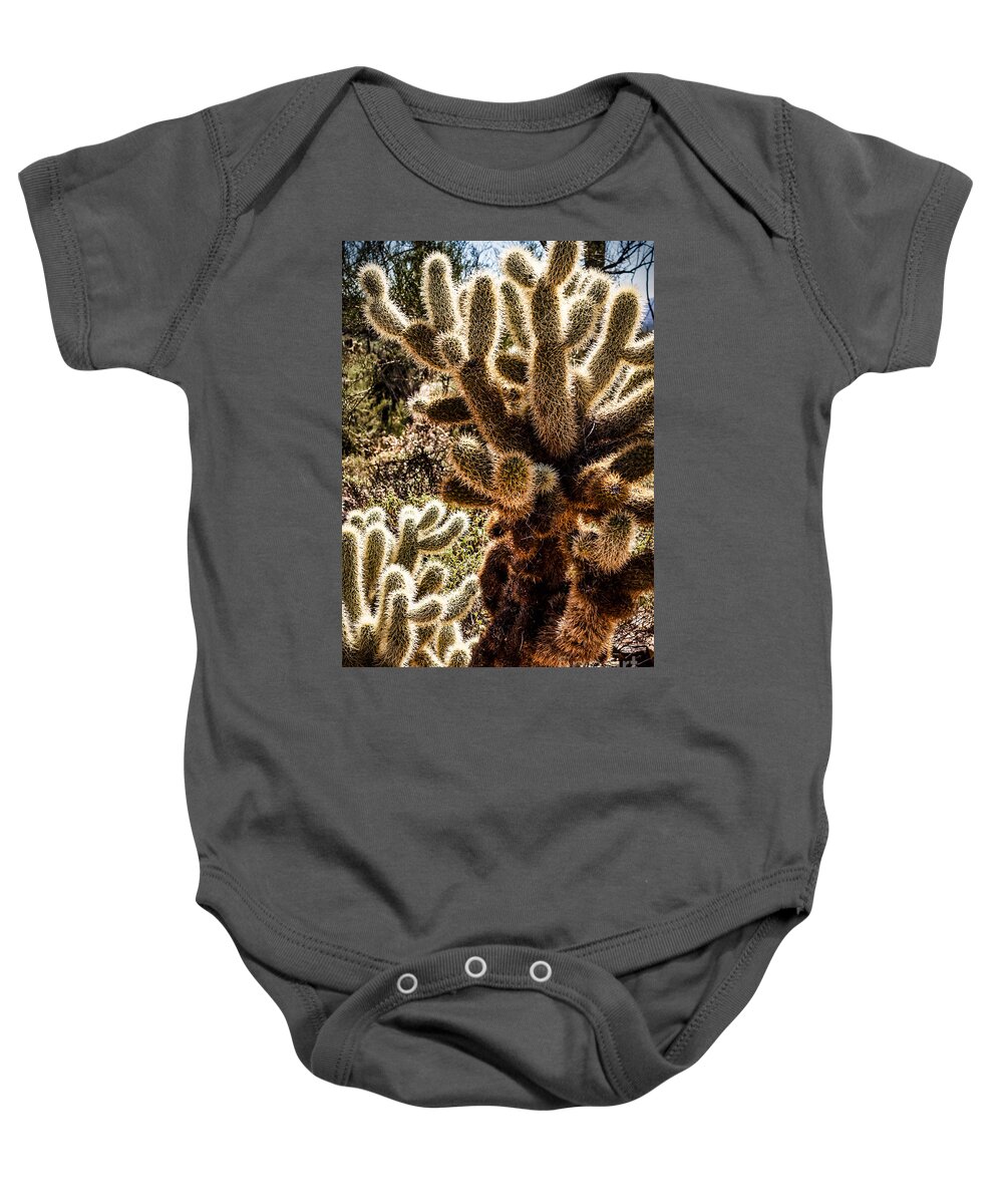 Arizona Baby Onesie featuring the photograph Cholla Cacti #1 by Lawrence Burry