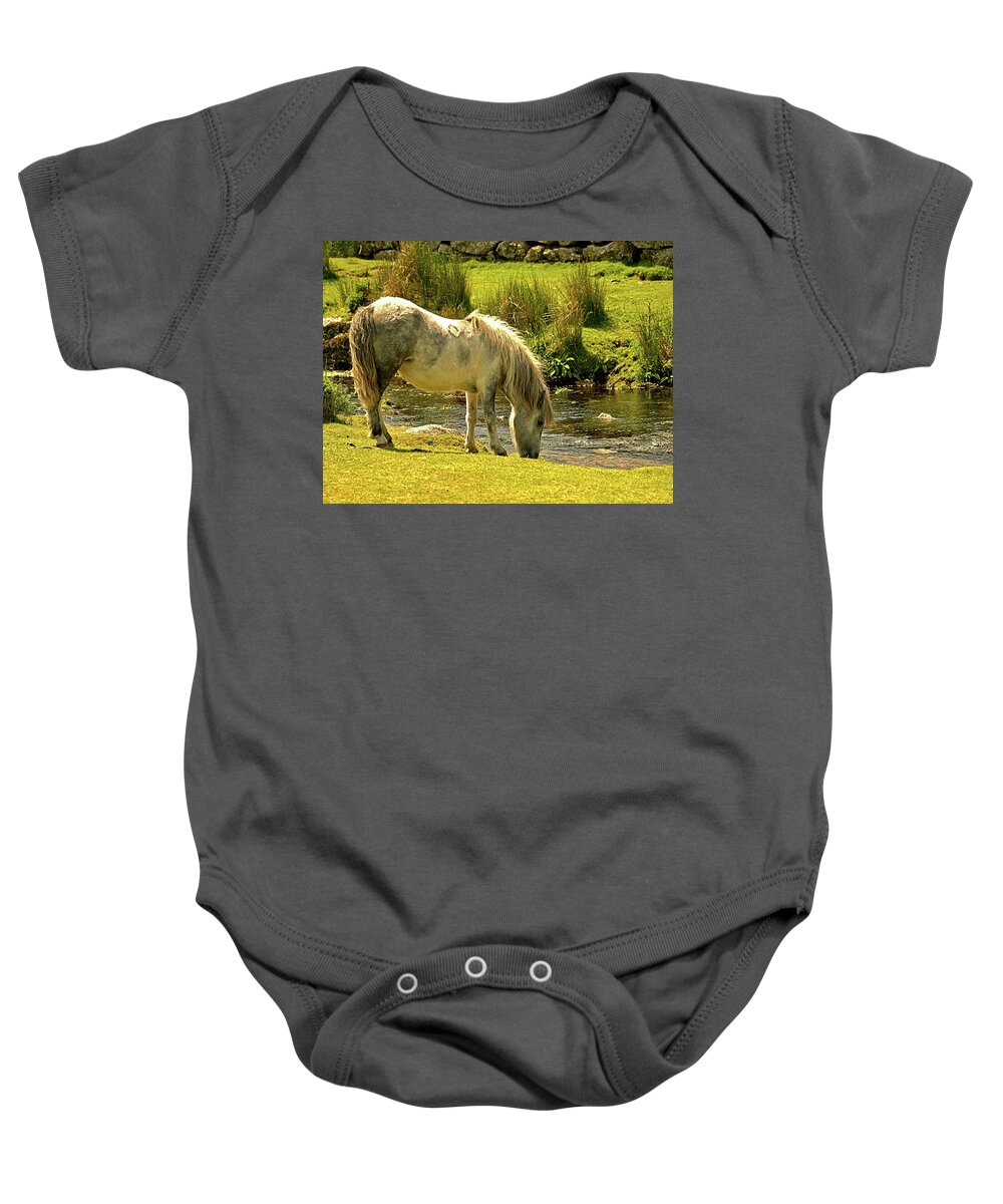Animals Baby Onesie featuring the photograph Dartmoor Pony #2 by Richard Denyer