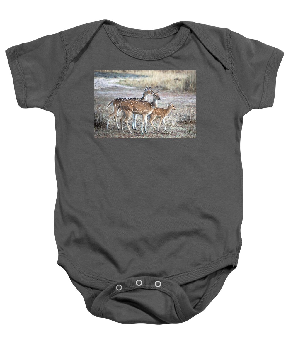 Wildlife Baby Onesie featuring the photograph Family outing #1 by Pravine Chester