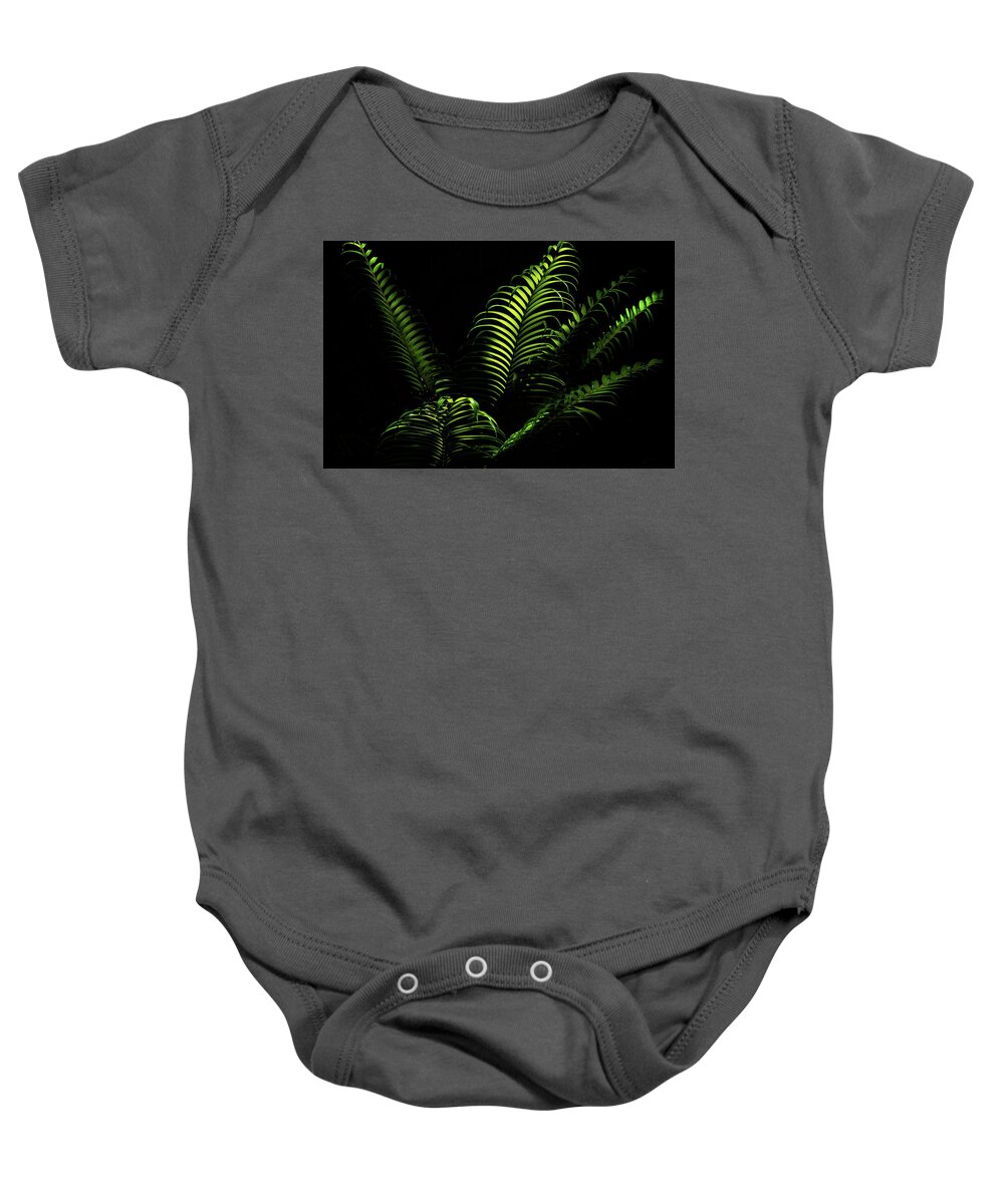 Fern Baby Onesie featuring the photograph Ferns #1 by Camille Lopez