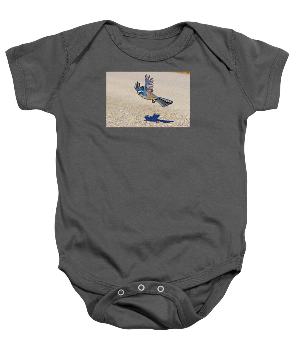 Birds Baby Onesie featuring the photograph Florida Scrub Jay #2 by Dart Humeston