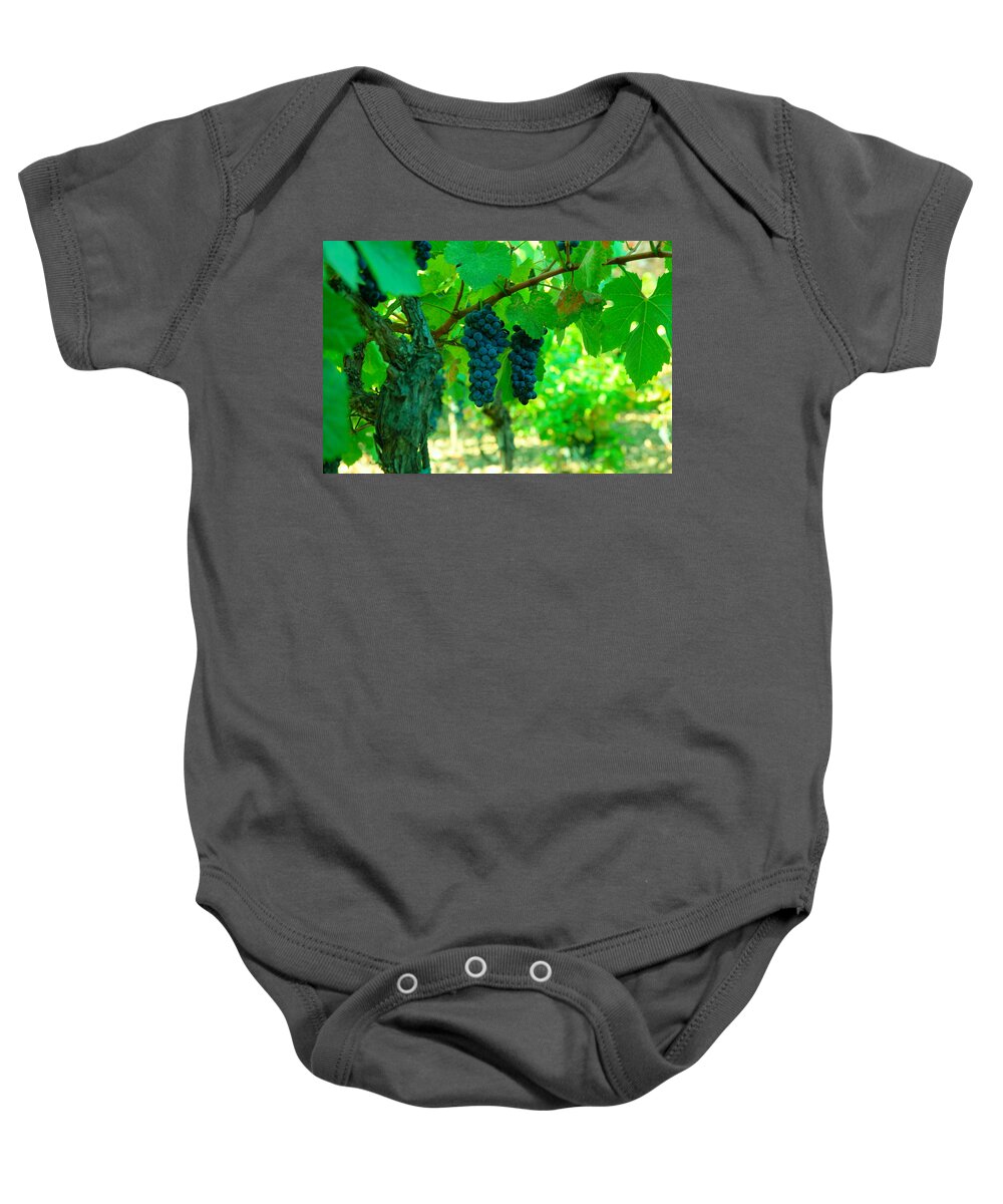 Grapes Baby Onesie featuring the photograph The Beauty of Grapes on the vine by Jeff Swan