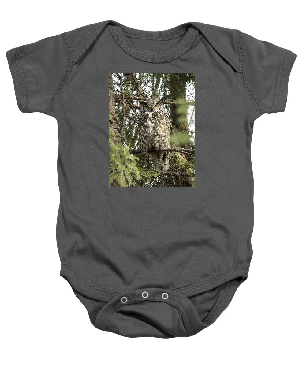 Alaska Baby Onesie featuring the photograph Great Horned #1 by Ian Johnson
