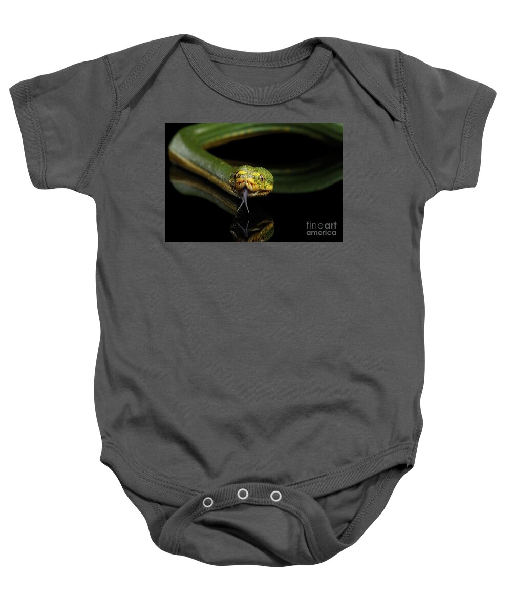 Snake Baby Onesie featuring the photograph Green Tree Python. Morelia viridis. Isolated black background #3 by Sergey Taran