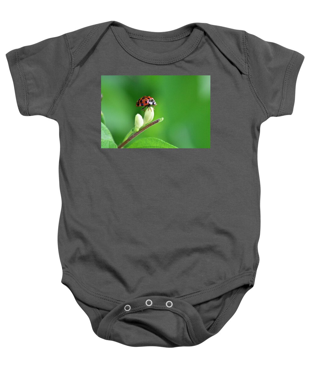 Wall Art Baby Onesie featuring the photograph Lady Bug #1 by Jeffrey PERKINS