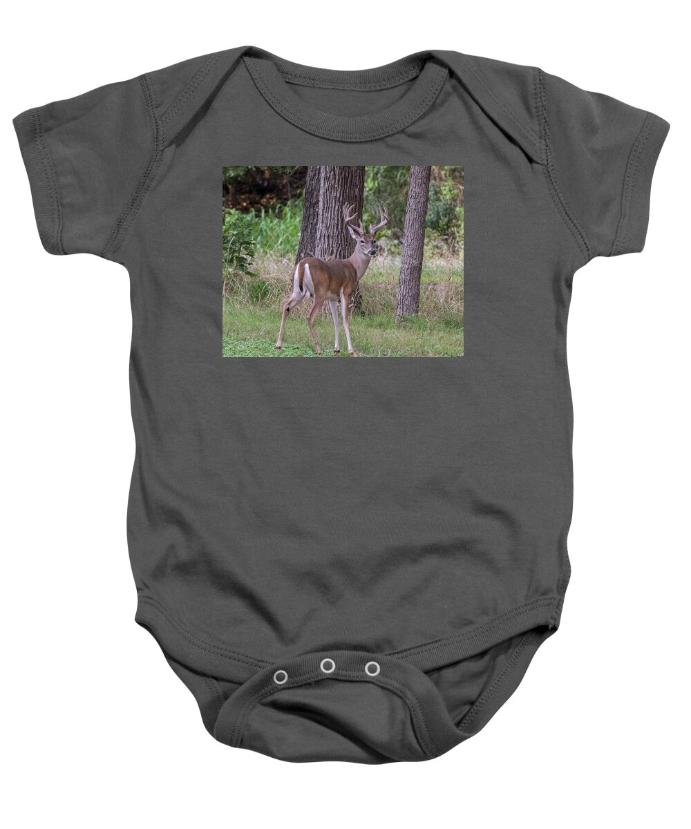 Buck Baby Onesie featuring the photograph Large buck #1 by John Johnson