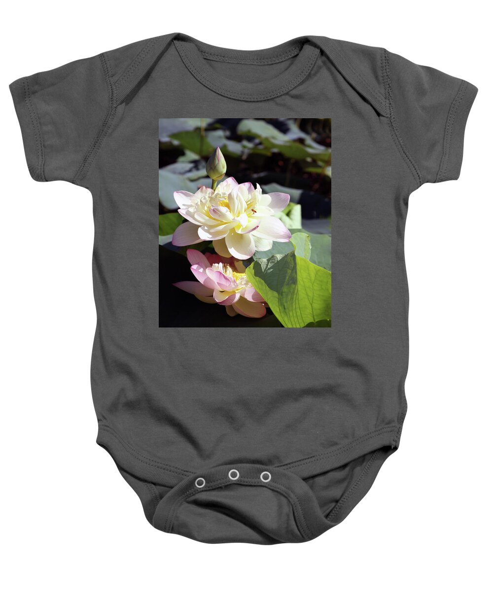 Lotus Baby Onesie featuring the photograph Lotus in Bloom #2 by John Lautermilch