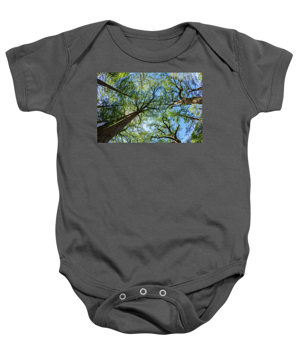 Austin Baby Onesie featuring the photograph Majestic Cypress Trees by Raul Rodriguez