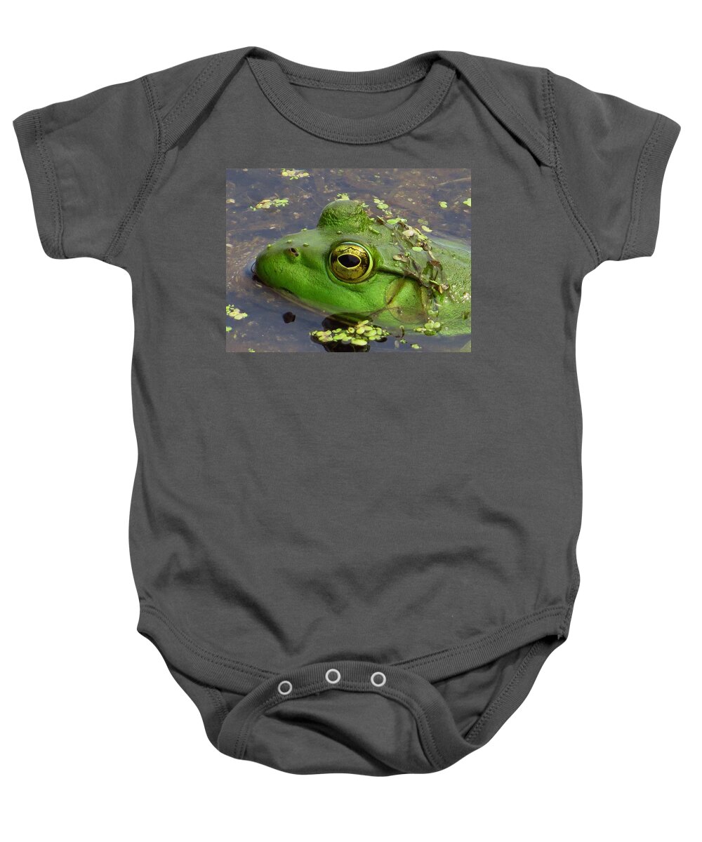 Frogs Baby Onesie featuring the photograph Mister Golden Eye #1 by Lori Frisch