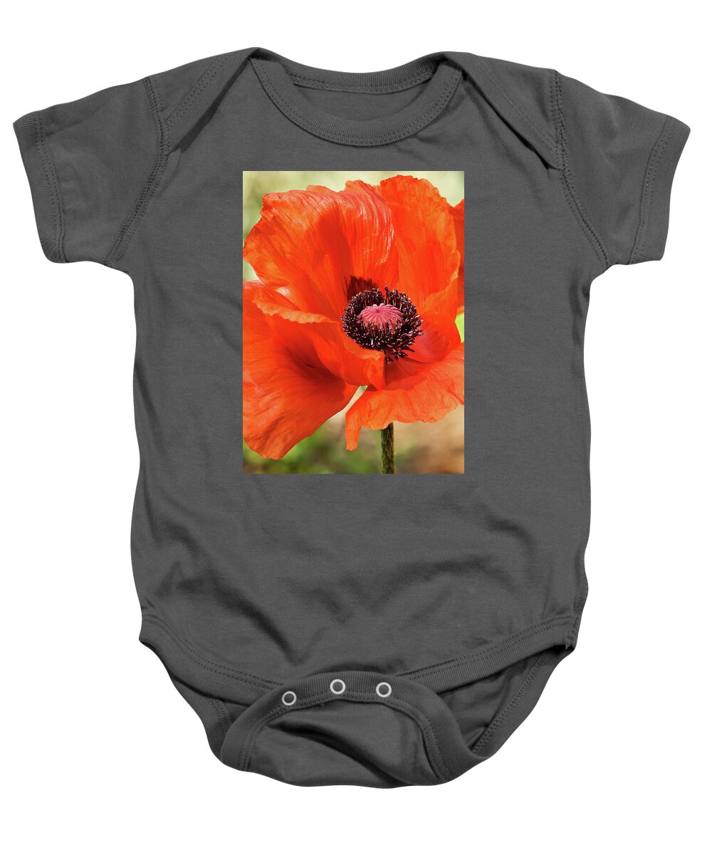 Poppy Baby Onesie featuring the photograph On the Fringe #2 by Jill Love