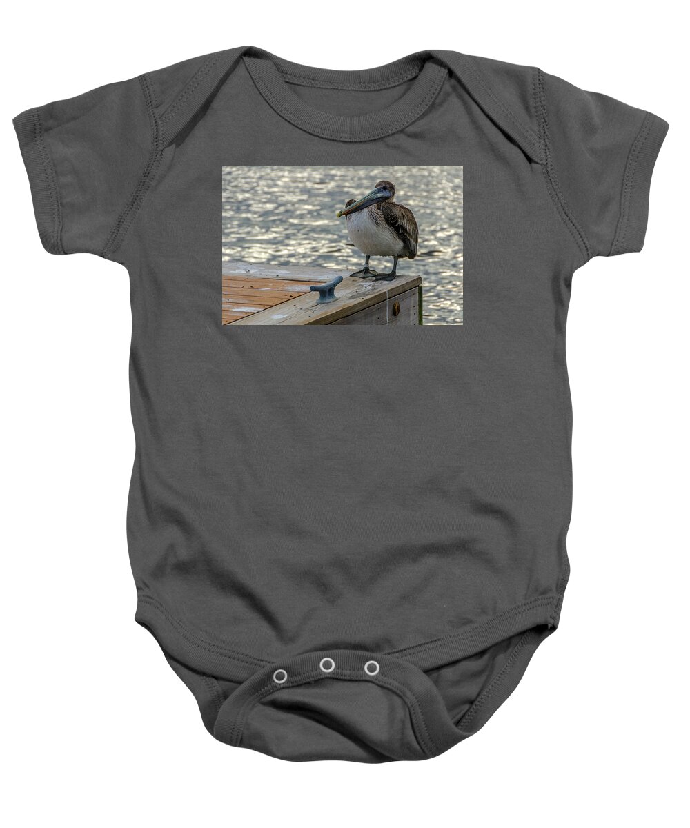 Pelican Baby Onesie featuring the photograph Pelican at the dock #1 by Wolfgang Stocker