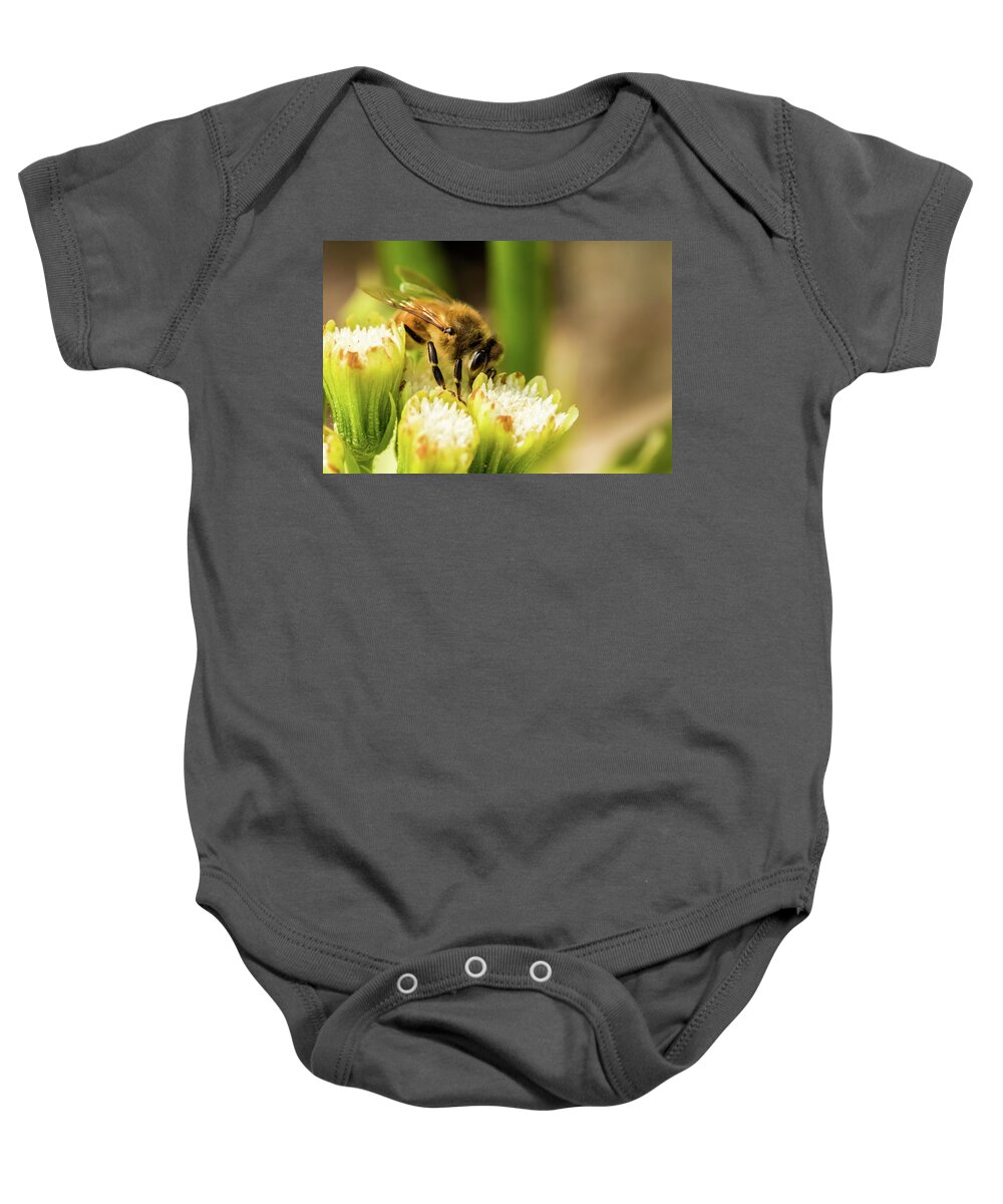 Jay Stockhaus Baby Onesie featuring the photograph Pollen Collector #1 by Jay Stockhaus