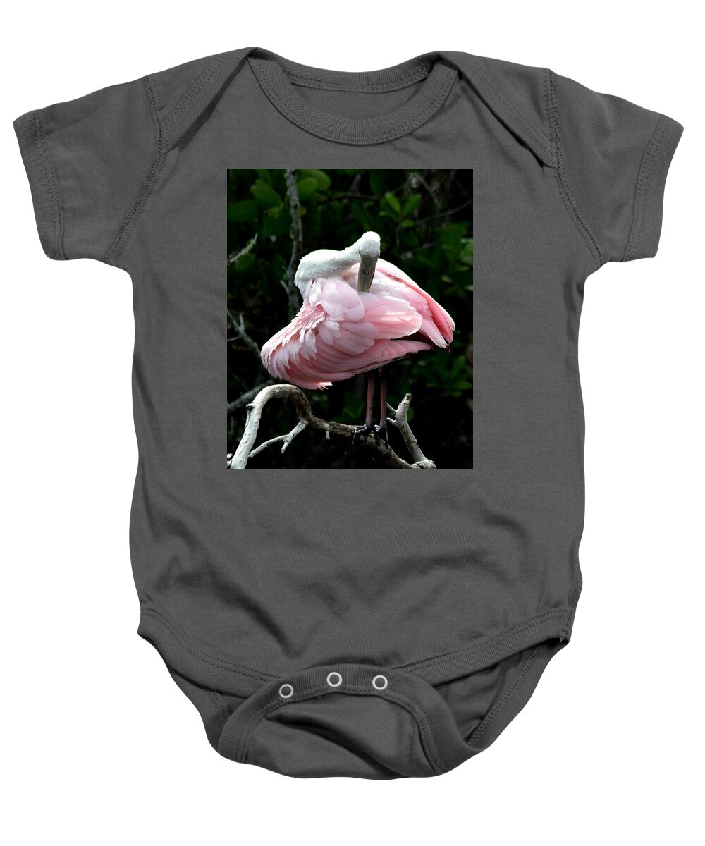 Roseate Spoonbill Baby Onesie featuring the photograph Pretty in Pink #1 by Jim Bennight
