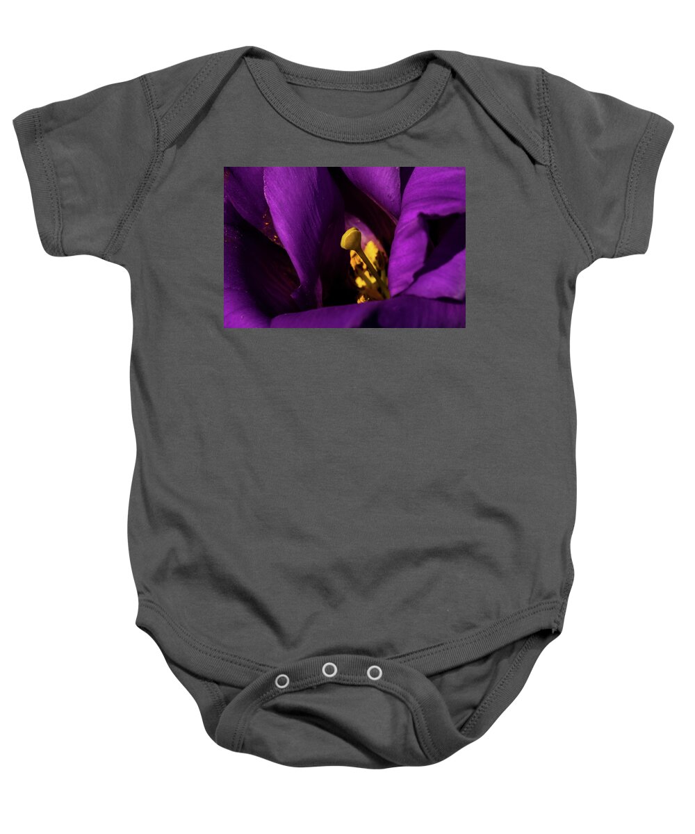 Jay Stockhaus Baby Onesie featuring the photograph Purple and Yellow #1 by Jay Stockhaus