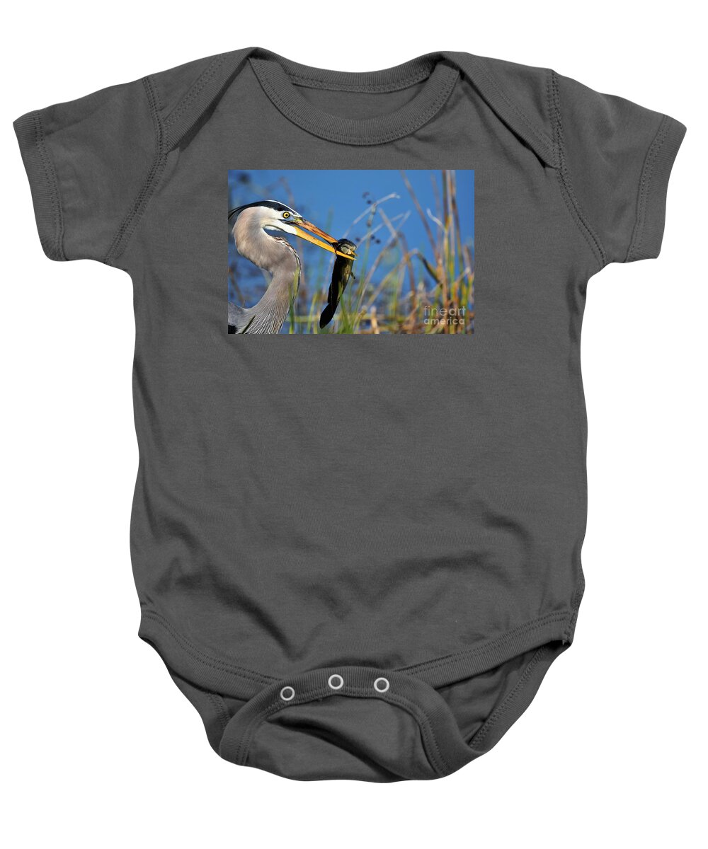 Great Blue Heron Baby Onesie featuring the photograph Snack Time #1 by Julie Adair