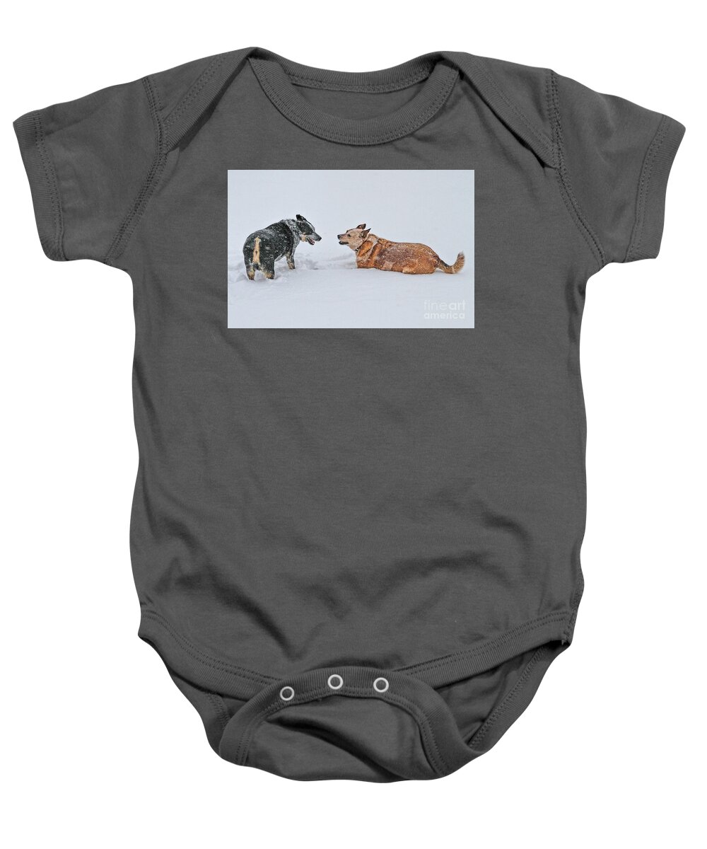 Australian Cattle Dog Baby Onesie featuring the photograph Snow Play by Elizabeth Winter