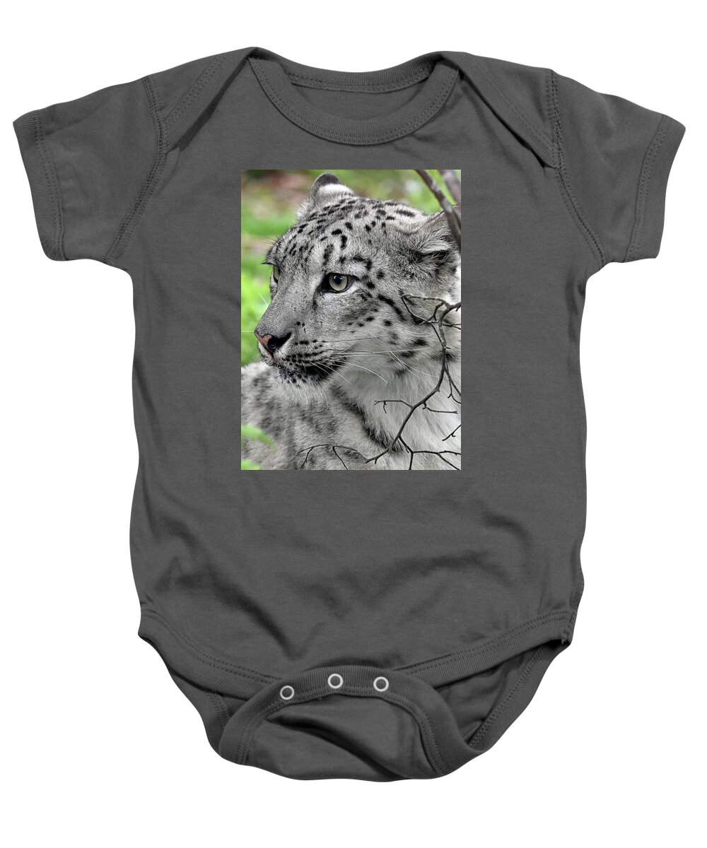 Panthera Uncia Baby Onesie featuring the photograph Snow Leopard #1 by Kuni Photography