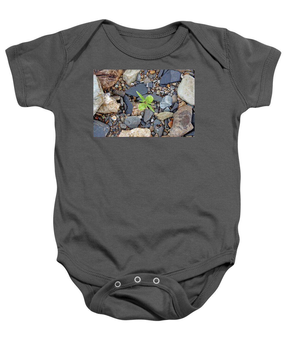 Rock Baby Onesie featuring the photograph Stand Out From The Crowd #1 by Amber Flowers
