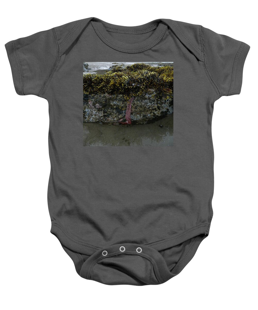 Starfish Baby Onesie featuring the photograph Starfish Survival #1 by Gallery Of Hope 