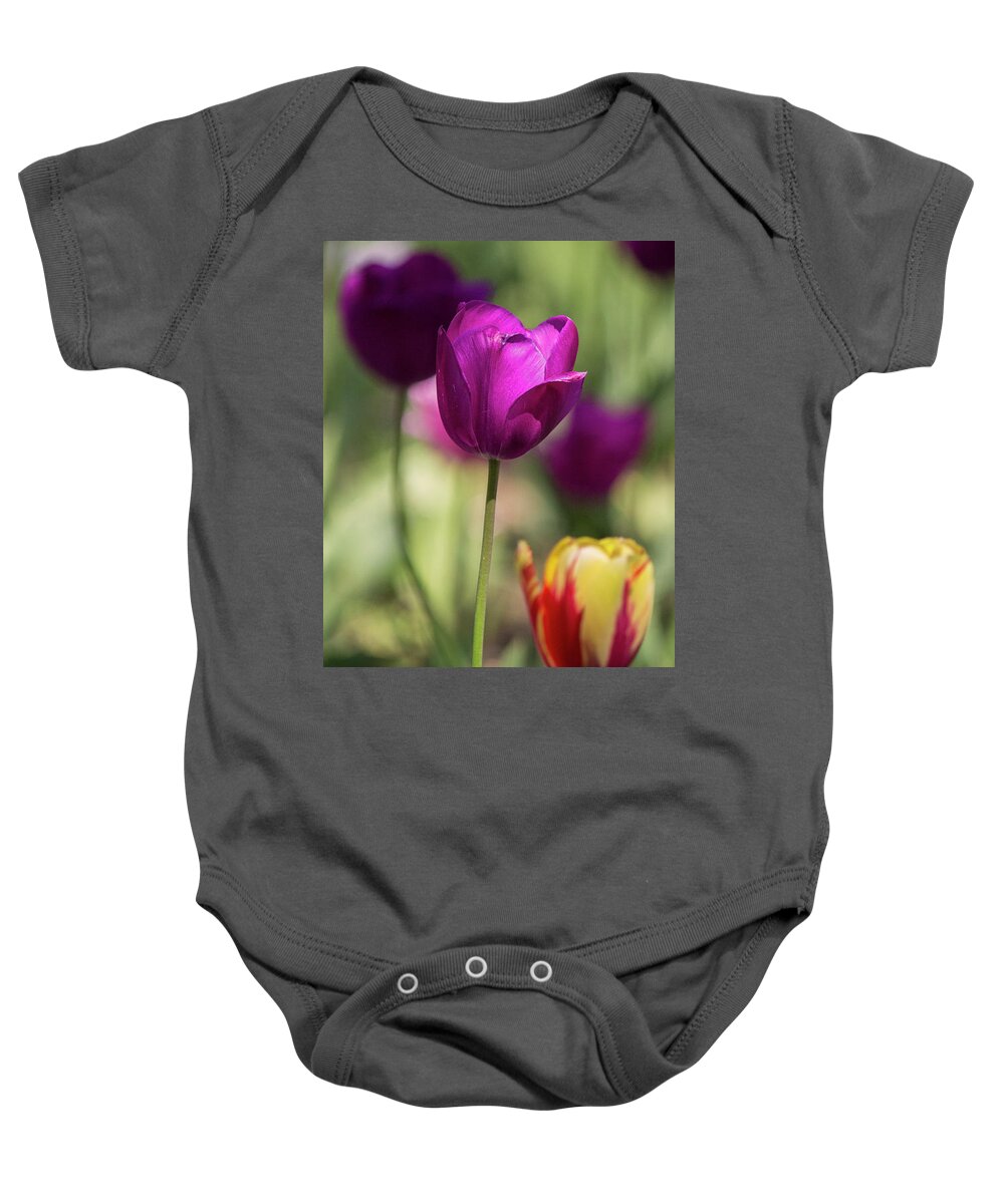 Tulip Baby Onesie featuring the photograph Study of Tulips #2 by Doc Braham