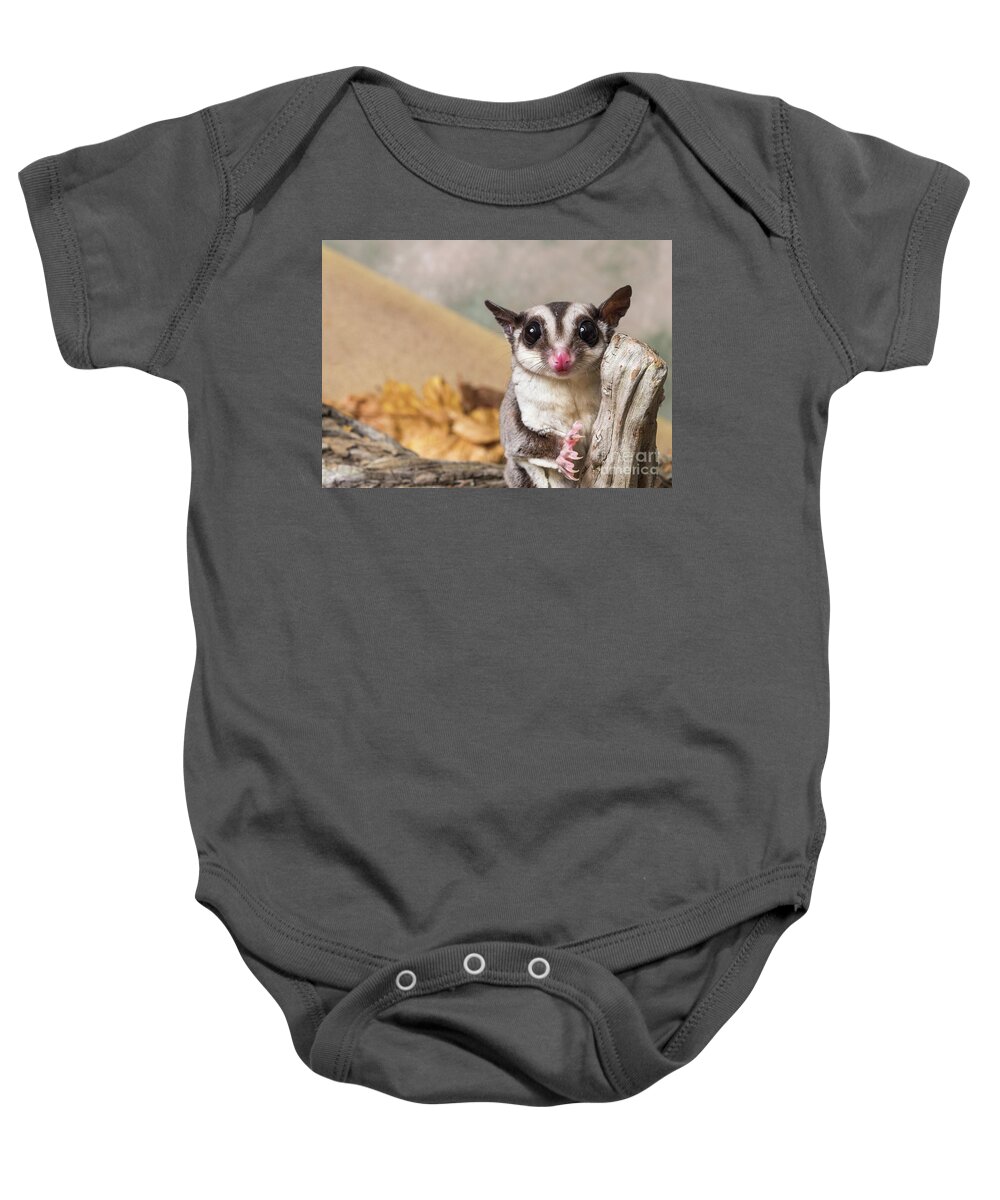 Animal Baby Onesie featuring the photograph Sugar glider #1 by Les Palenik